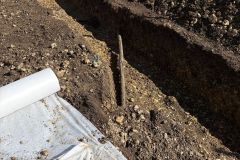 IMG-20260313-WA0005